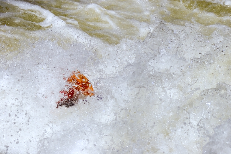 Kayaker 04 